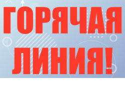 Прямая линия о мерах социальной поддержки семьям с детьми пройдет в Правительстве Новосибирской области
