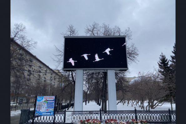 Новосибирская область вместе со всей страной почтила память погибших в результате теракта в «Крокус Сити Холл»