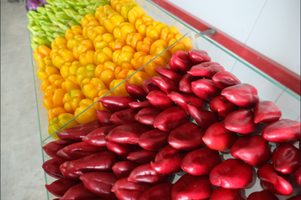 Губернатор предложил организовать встречные потоки сельхозпродукции между Новосибирской и Сурхандарьинской областями