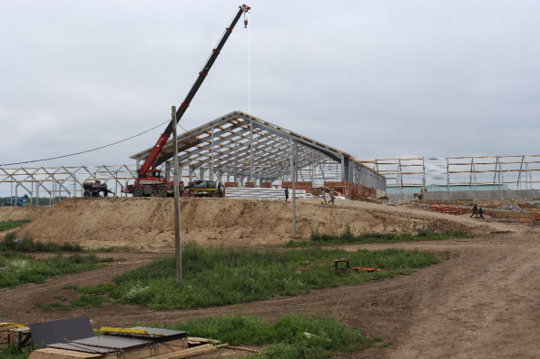 «ЭкоНива-АПК». Эко-молоко и эко-сыр из молока