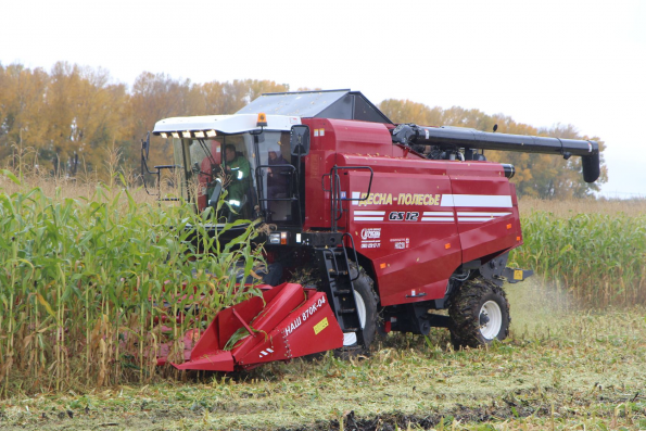 Сибирь не Полесье, но «Полесье» справилось