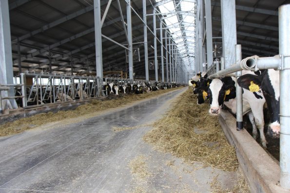 «Русское поле»: кадры решают все