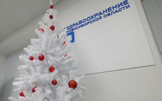 Минздрав региона представил график работы медучреждений в новогодние праздники