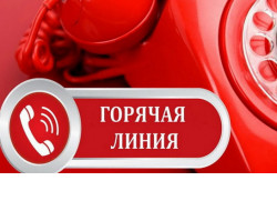 «Горячая линия» по вопросам качества и безопасности детских товаров и школьных принадлежностей работает в Новосибирской области