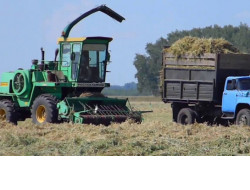 Более миллиона тонн сенажа заготовят аграрии Новосибирской области при поддержке государства