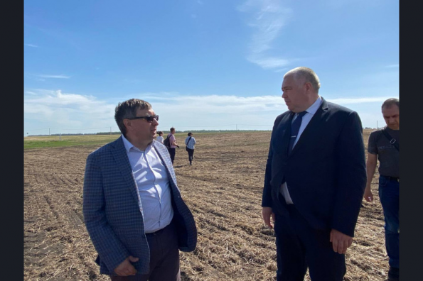 Посевная кампания в регионе завершится до конца мая