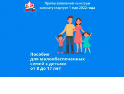 С 1 мая заявление на выплаты на детей в возрасте от 8 до 17 лет можно подать в ПФР или МФЦ