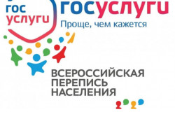 Самый популярный способ участия в переписи населения – через портал Госуслуг