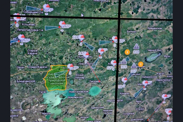 Искусственный интеллект помог снизить количество термоточек в лесах региона на 92%