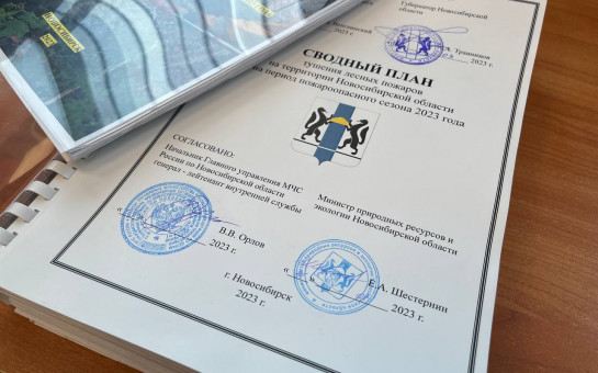 Губернатор Новосибирской области утвердил сводный план тушения лесных пожаров в 2023 году