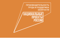 В Новосибирской области стартует конкурс лучших практик наставничества в рамках нацпроекта «Производительность труда»