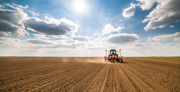 Россельхозбанк увеличил объем кредитования АПК Новосибирской области более чем на 40%