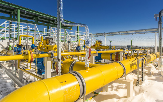 Правительство Новосибирской области увеличило объем господдержки на догазификацию