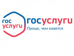 Сообщить о проблеме в органы власти жители могут через портал Госуслуг