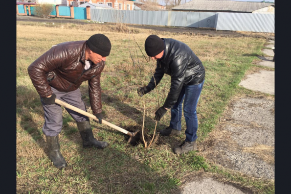 В Новосибирской области стартовала международная акция «Сад памяти»
