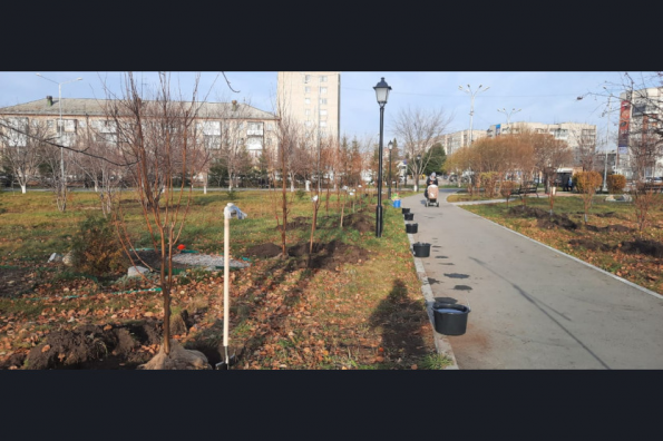 Более 100 зелёных зон появились в регионе по нацпроекту на объектах благоустройства в 2021 году