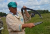 Сенокос в Волчанке